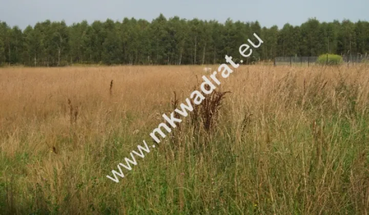 Działka budowlana Siestrzeń