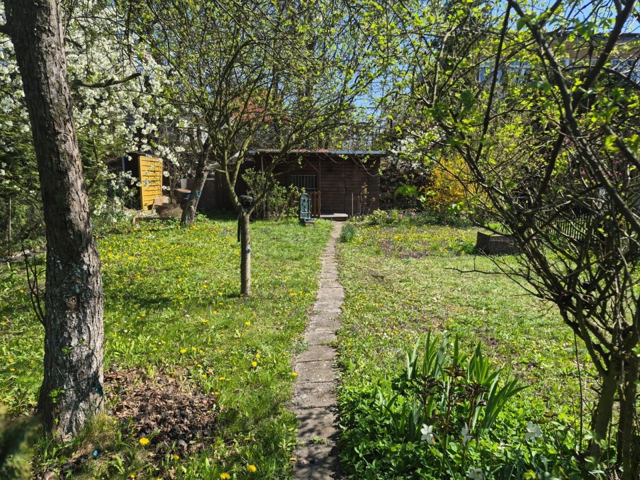 Działka rod Racibórz. Zdjęcie 4