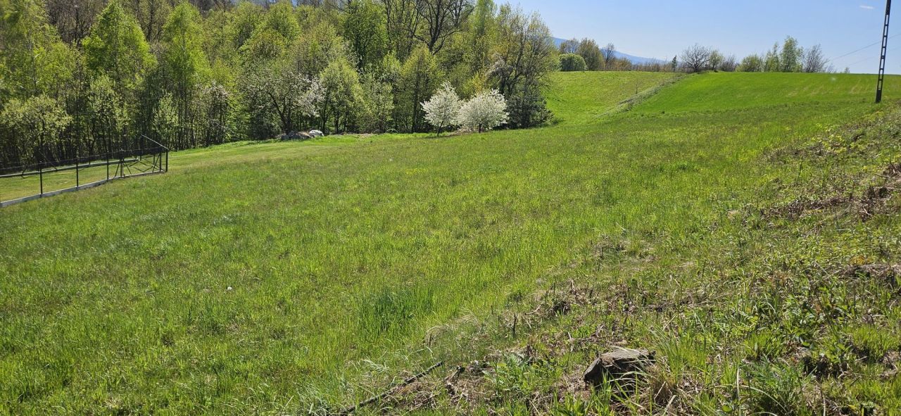 Działka rolna Winiary. Zdjęcie 7