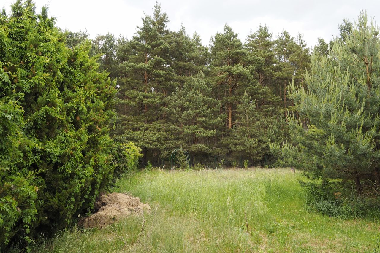 Działka budowlana Dzikowo Chrapy, ul. Tulipanowa. Zdjęcie 7
