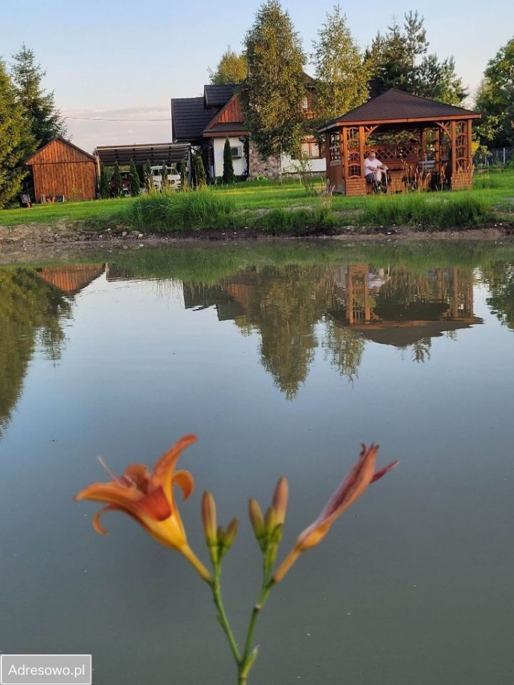 dom wolnostojący, 5 pokoi Białowieża. Zdjęcie 3