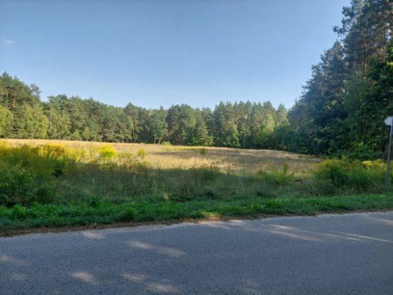 Działka budowlana Modecin. Zdjęcie 3