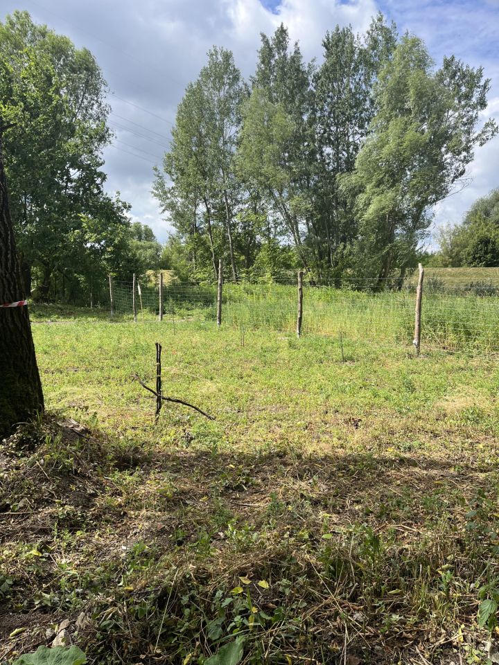 Działka rolna Łomianki Buraków, ul. Pastewna. Zdjęcie 9