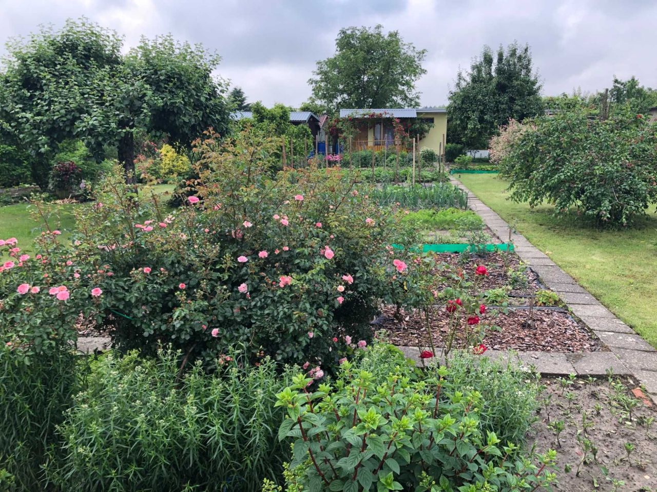 Działka rod Tarnobrzeg. Zdjęcie 6