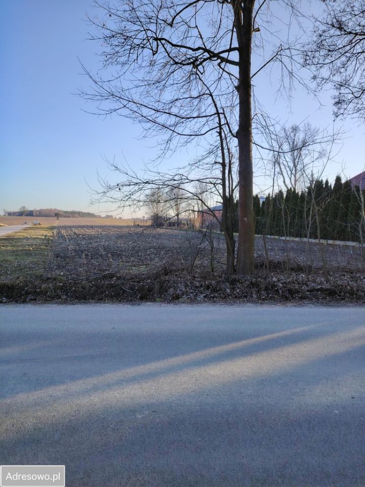 Działka rolno-budowlana Wola Niechcicka Stara. Zdjęcie 8