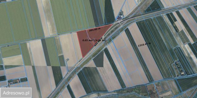 Działka rolna Smardzów. Zdjęcie 1