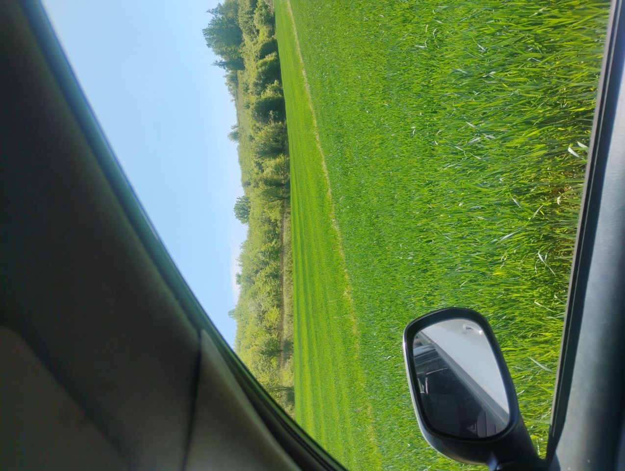 Działka budowlana Sandomierz, ul. Lipowa. Zdjęcie 3