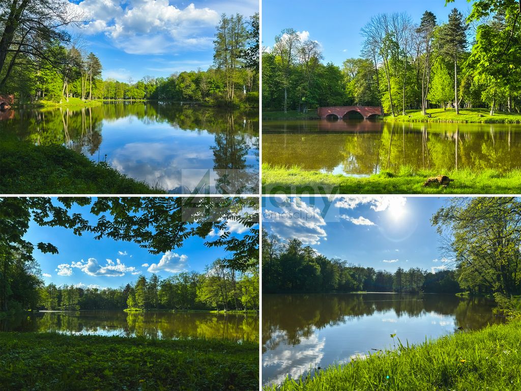 Działka budowlana Zalesie. Zdjęcie 5