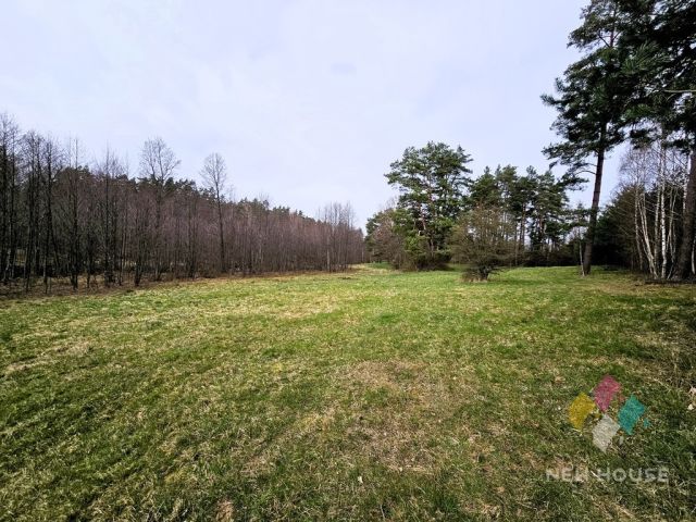 Działka rolna Prawdowo. Zdjęcie 10
