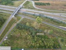 Działka inwestycyjna Ojcowizna