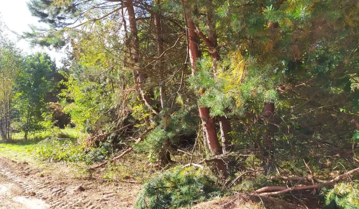 Działka budowlana Swolszewice Małe, ul. Iłki