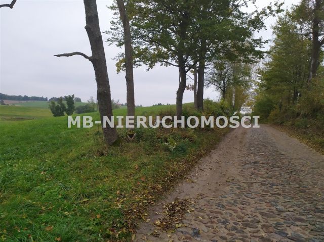 Działka rolna Sorkwity. Zdjęcie 6