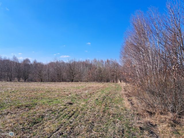 Działka rolna Łagów. Zdjęcie 6