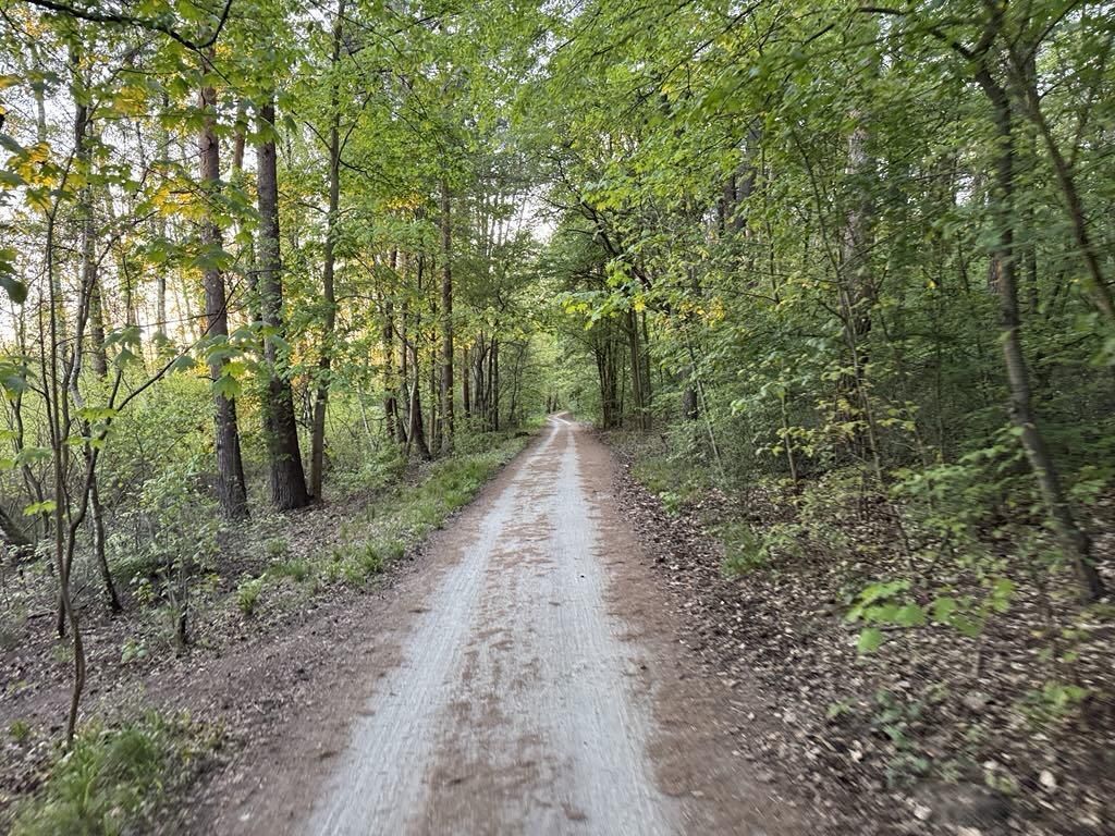 Działka budowlana Poznań Strzeszyn. Zdjęcie 6