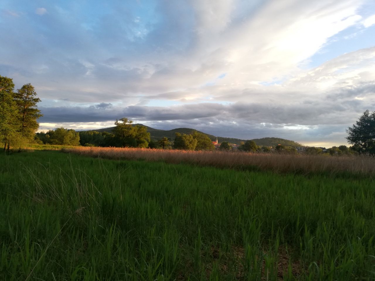 Działka rolna Rogów Sobócki. Zdjęcie 2