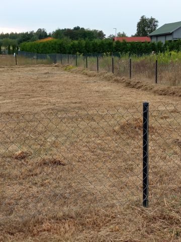 Działka rod Osuchów, ul. Wiejska. Zdjęcie 4