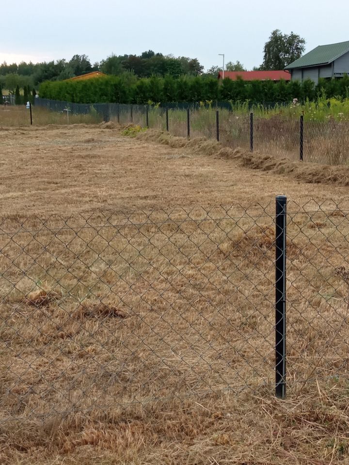 Działka rod Osuchów, ul. Wiejska. Zdjęcie 4