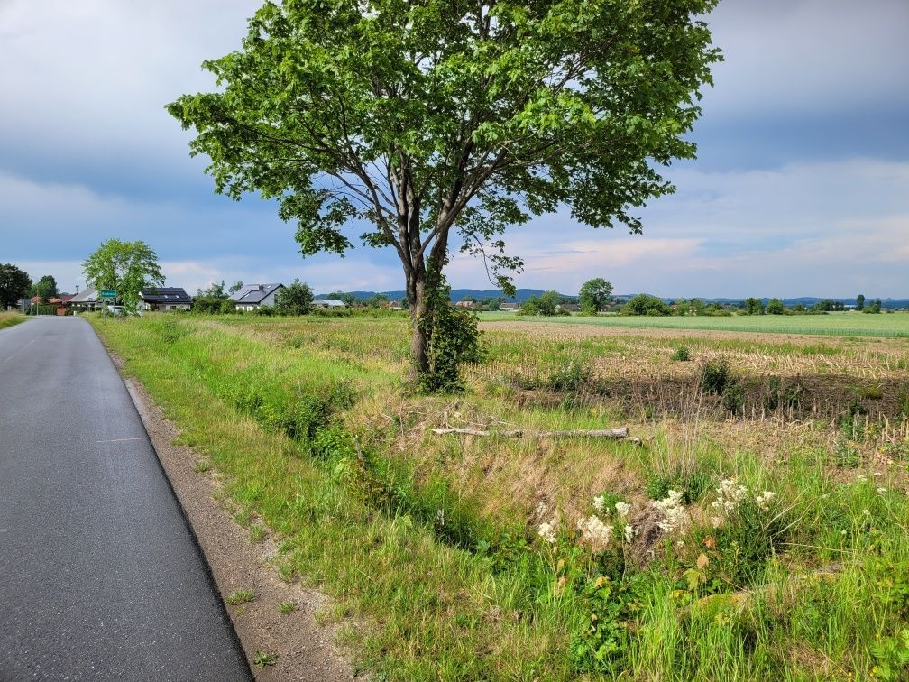 Działka budowlana Budzów. Zdjęcie 5