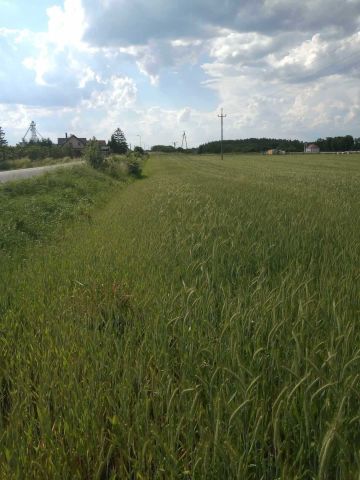 Działka rolna Mirosław. Zdjęcie 1