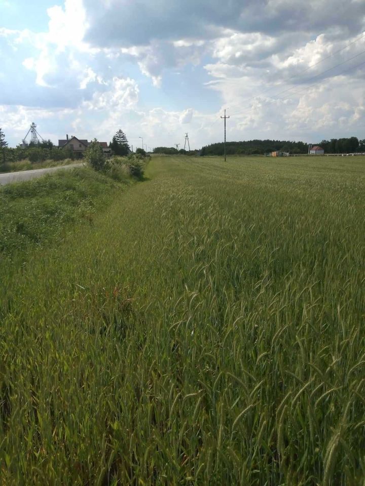 Działka rolna Mirosław