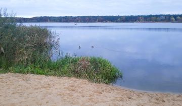 Działka leśna Józefina Murowaniec