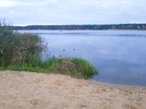 Działka leśna Józefina Murowaniec. Zdjęcie 1