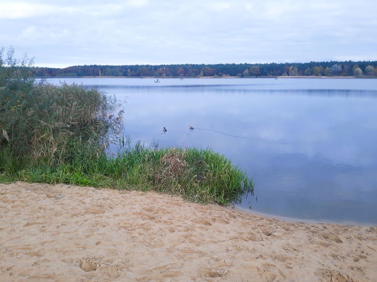 Działka leśna Józefina Murowaniec. Zdjęcie 2