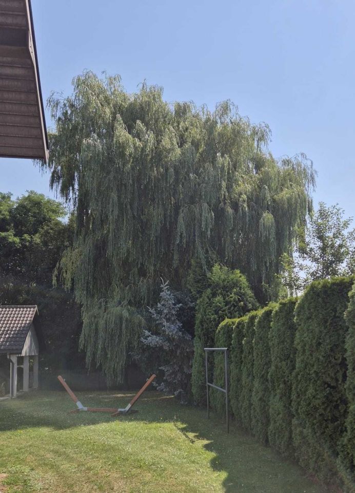 dom wolnostojący Smyków. Zdjęcie 6
