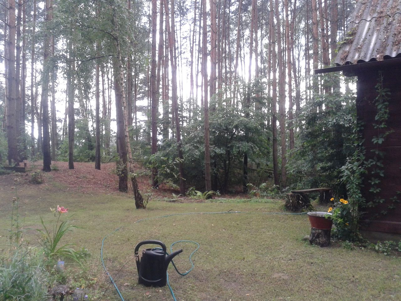 Działka rekreacyjna Zambski Kościelne. Zdjęcie 3