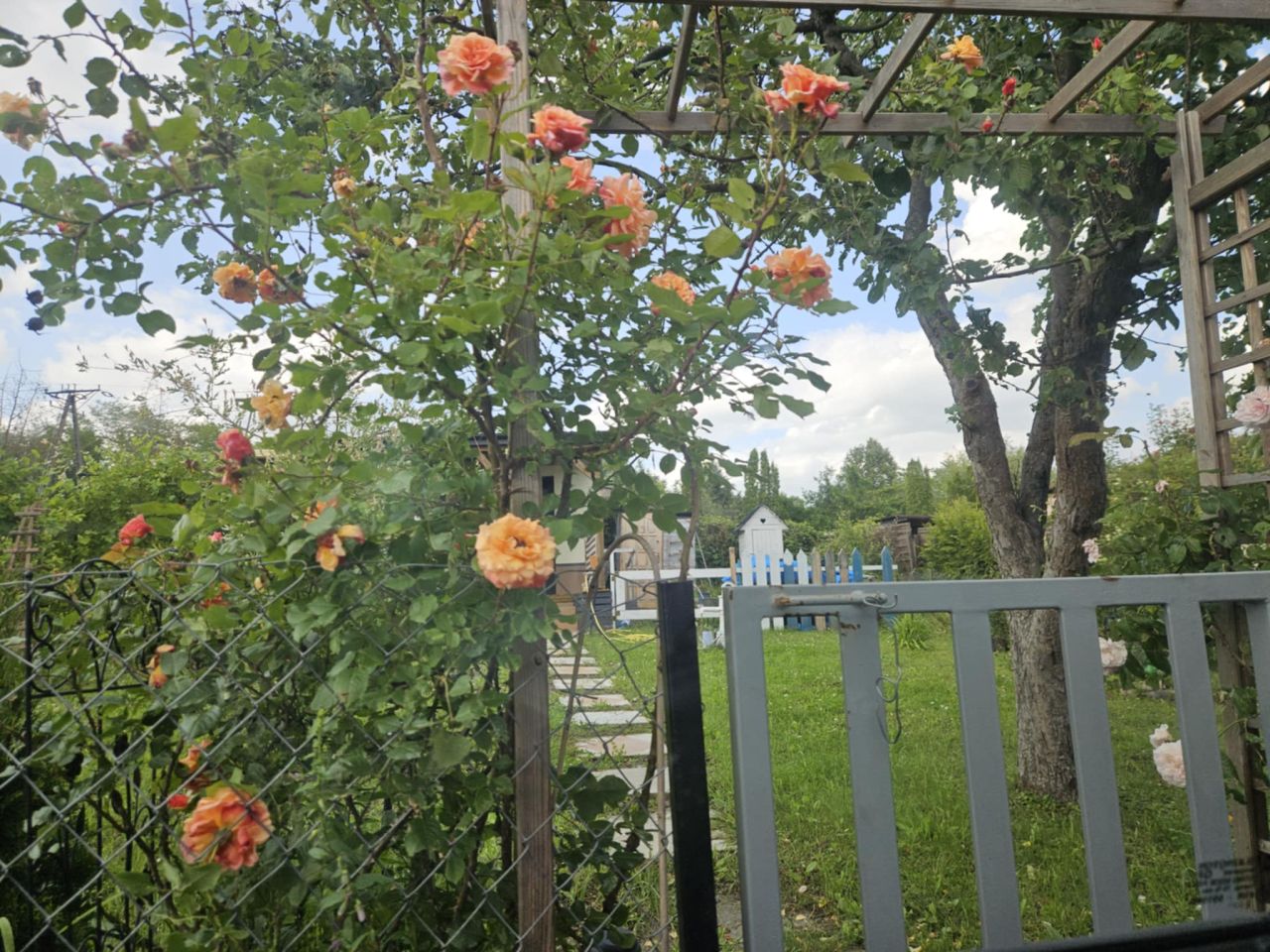 Działka rod Płock Parowa