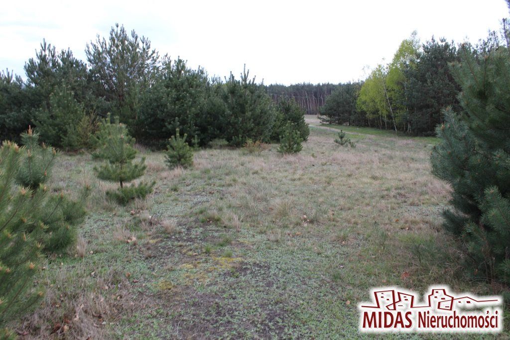 Działka budowlana Kowal