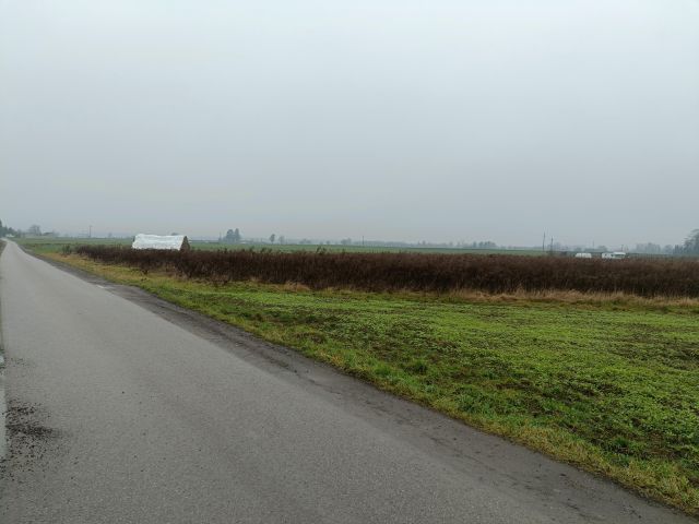 Działka budowlana Felicjanów. Zdjęcie 3