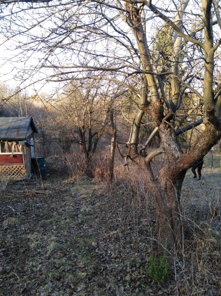 Działka rod Lublin Lemszczyzna. Zdjęcie 4