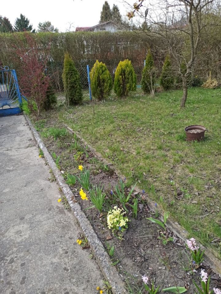 Działka rod Sosnowiec Środula, ul. gen. Mariusza Zaruskiego. Zdjęcie 8