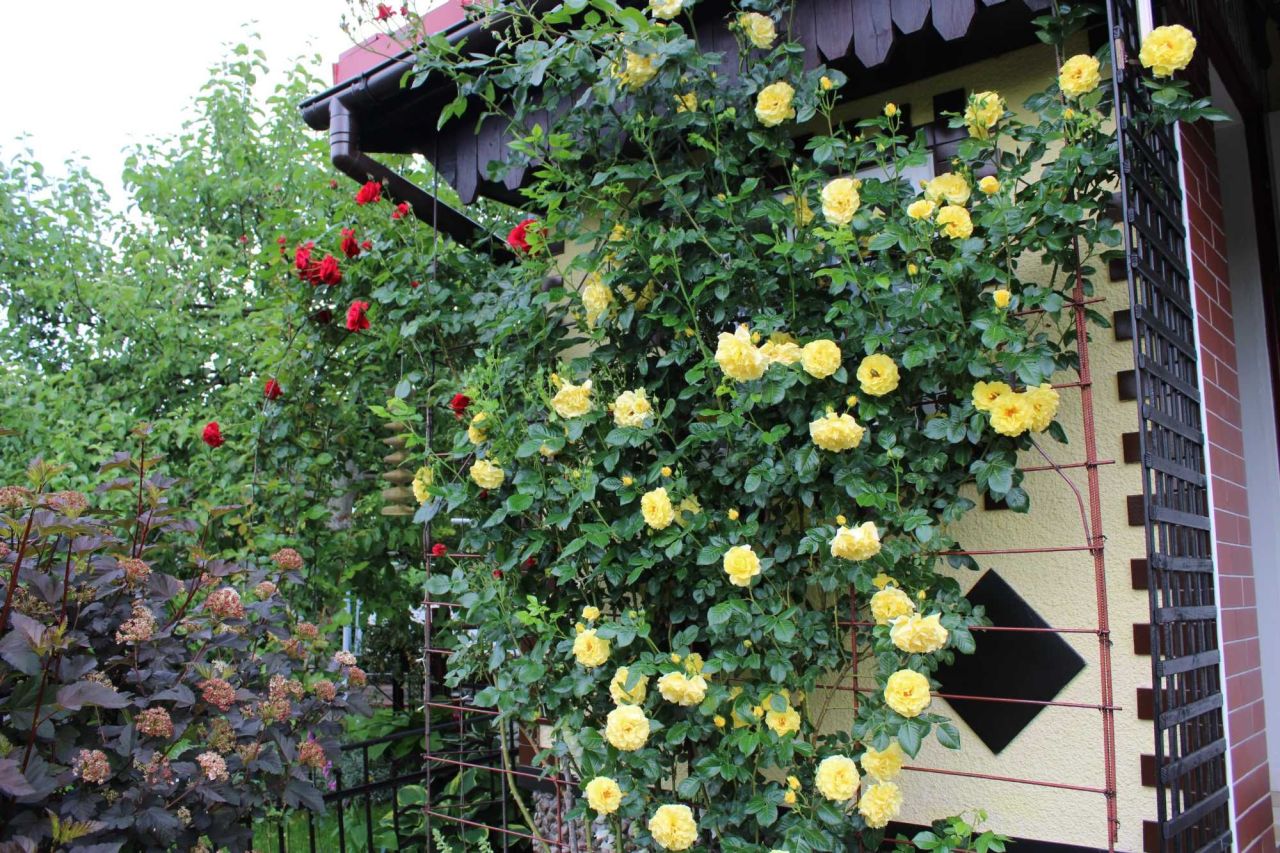 Działka rod Iława. Zdjęcie 5