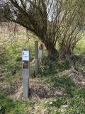 Działka budowlana Rurzyca, ul. Skryta. Zdjęcie 3