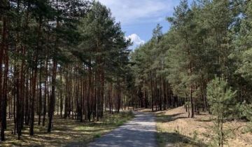 Działka leśna Nowe Polesie