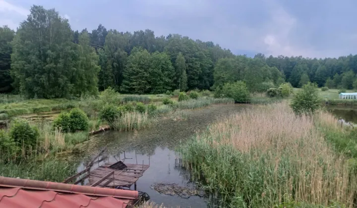 dom wolnostojący Ojrzeń