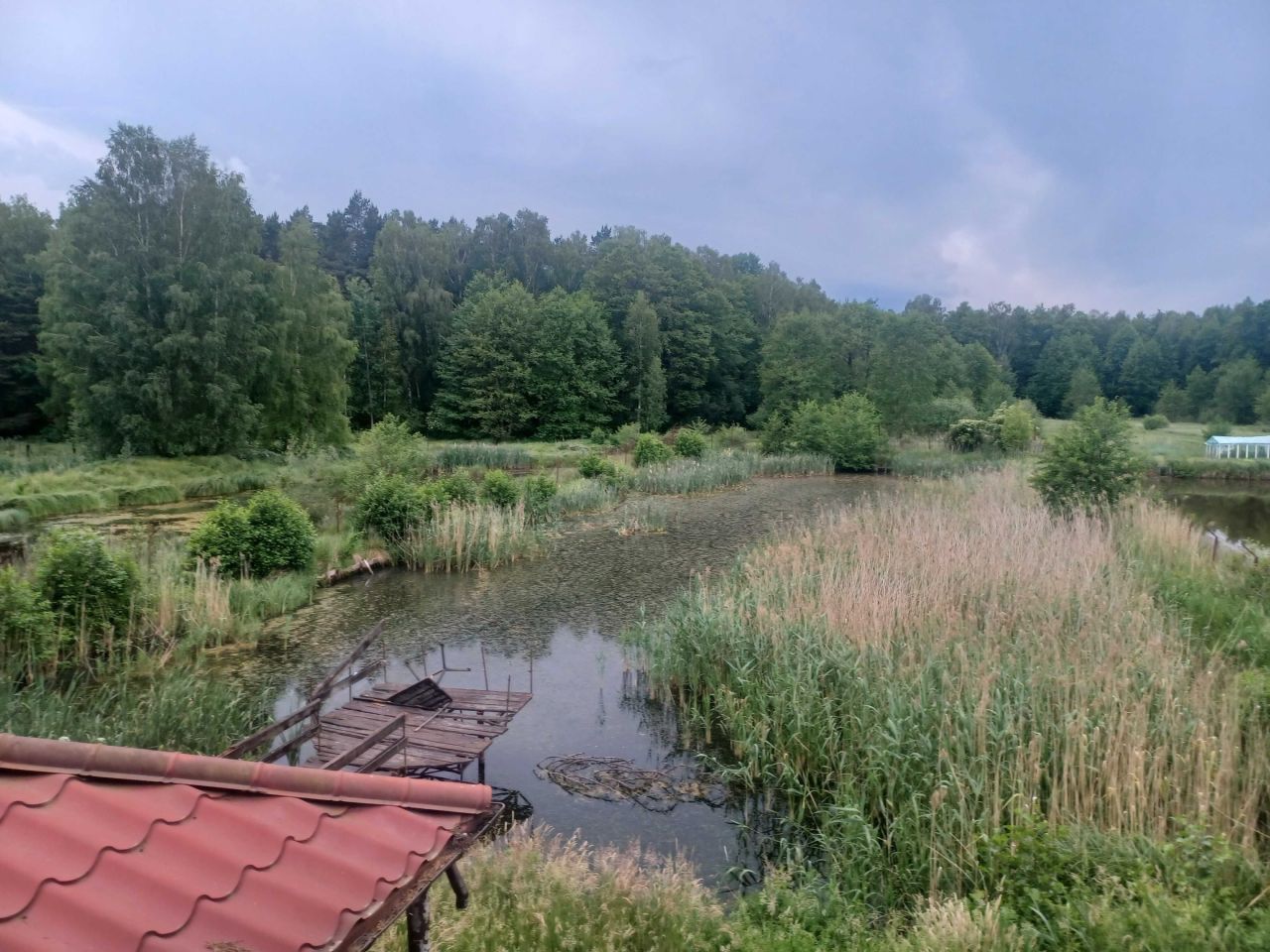 dom wolnostojący Ojrzeń