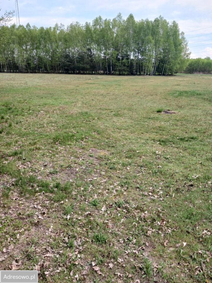 Działka Michałów. Zdjęcie 6