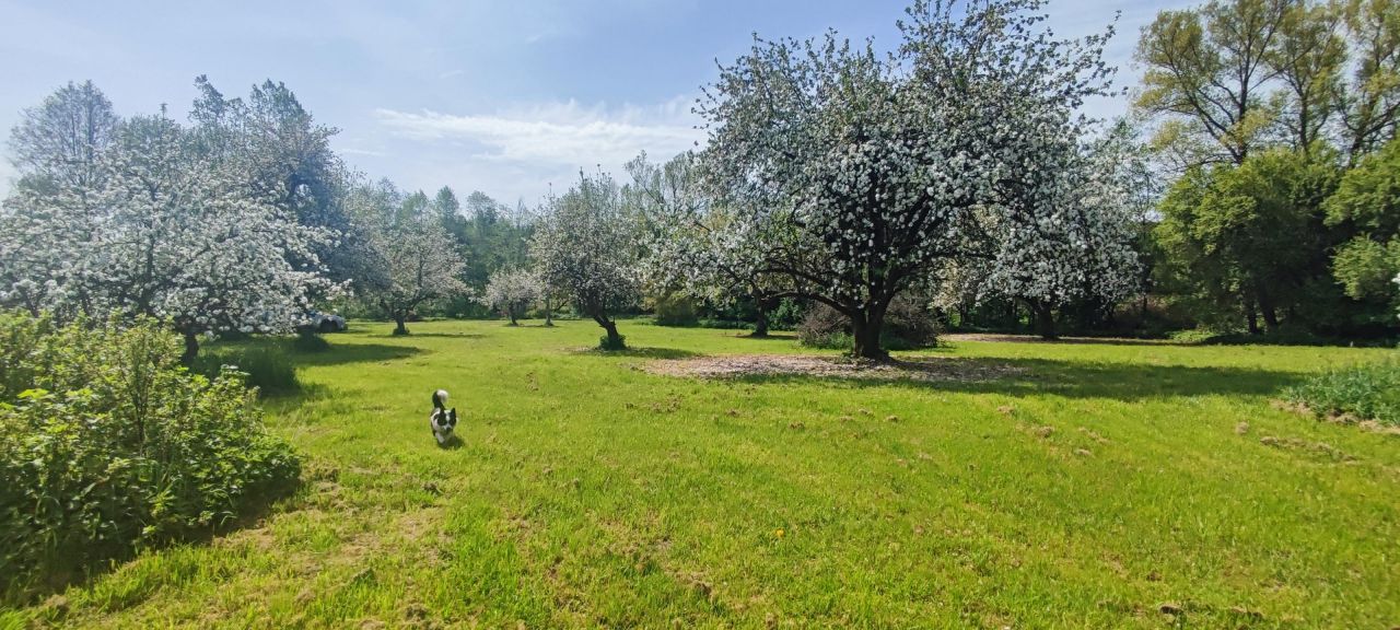 Działka budowlana Tłumaczów Tłumaczówek. Zdjęcie 4