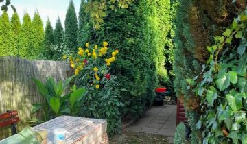 Działka rod Ostrowiec Świętokrzyski, ul. Niska