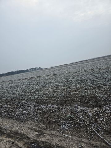 Działka rolno-budowlana Lubówiec. Zdjęcie 1