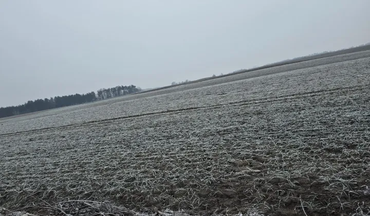 Działka rolno-budowlana Lubówiec