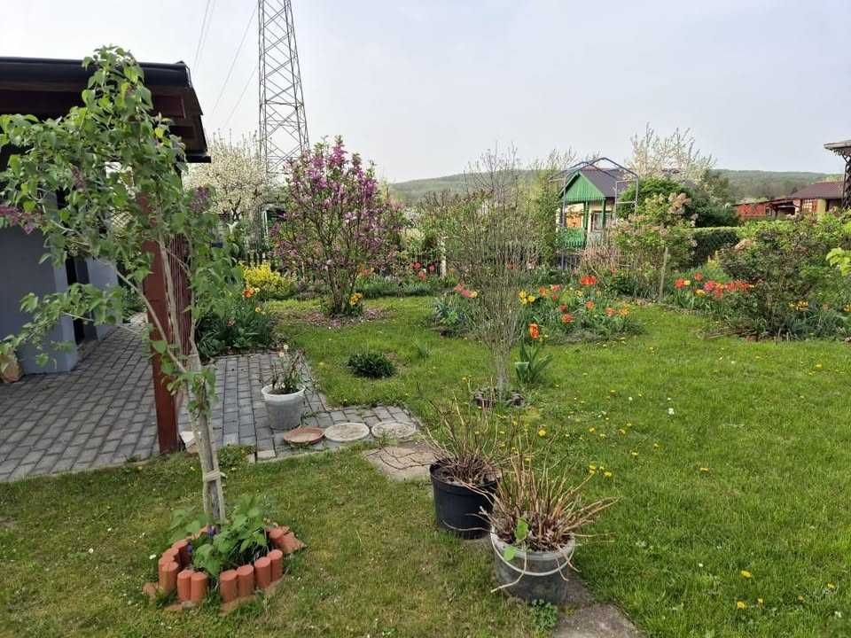 Działka rod Bogatynia. Zdjęcie 7