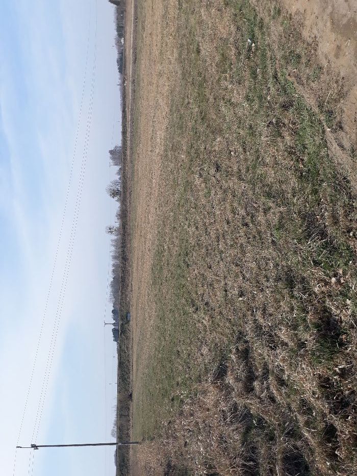 Działka rolno-budowlana Dubiny, ul. Torowa. Zdjęcie 3