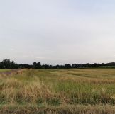 Działka rolna Jankowice