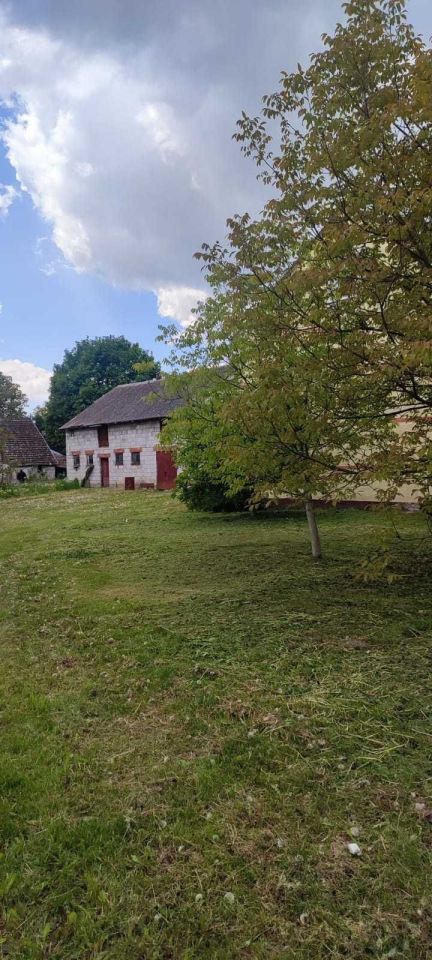 gospodarstwo Młodzawy Duże. Zdjęcie 3