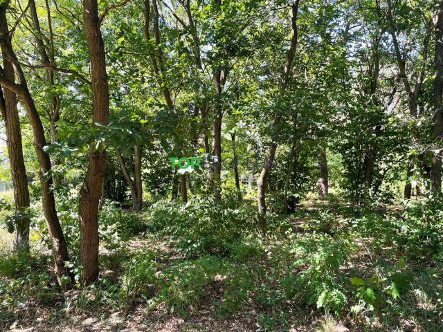 Działka budowlana Józefów. Zdjęcie 3