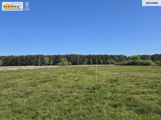 Działka rolna Szczecin. Zdjęcie 4